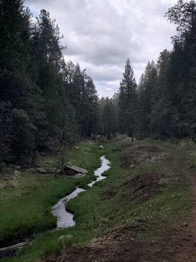 20230519_160009.jpg