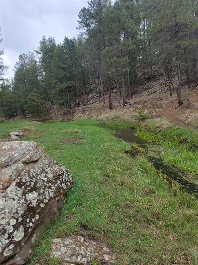 20230519_160746.jpg