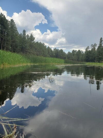 20230722_134736.jpg