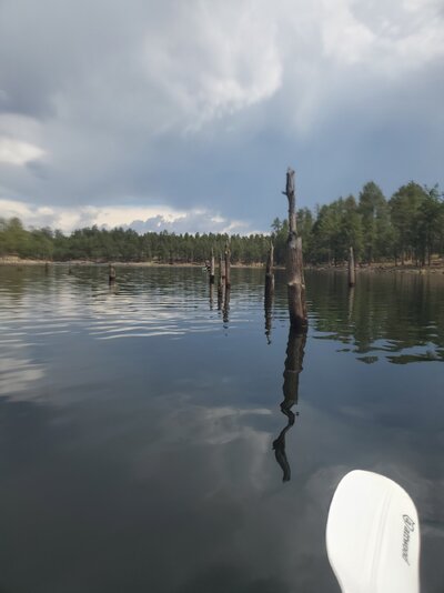 20230722_143741.jpg