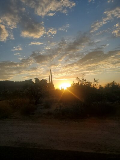 20231008_063607.jpg