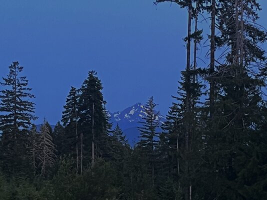 IMG_8018.jpeg