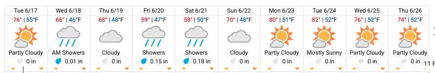 Screen Shot 2025-06-17 at 10.33.03 AM.png