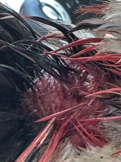 IMG_4510.jpeg