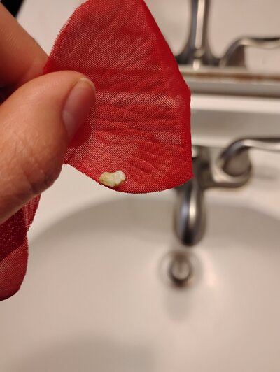 IMG_20250617_153449567.jpg
