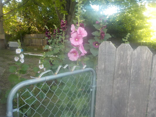 DSCN1488.JPG