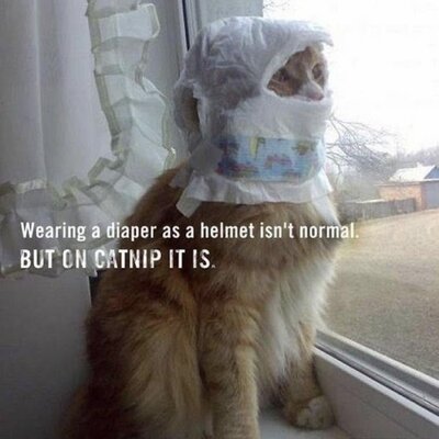 IMG_3493.jpeg