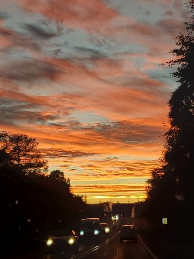 20241024_175032.jpg