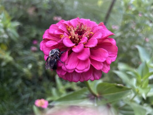 IMG_9970.jpeg
