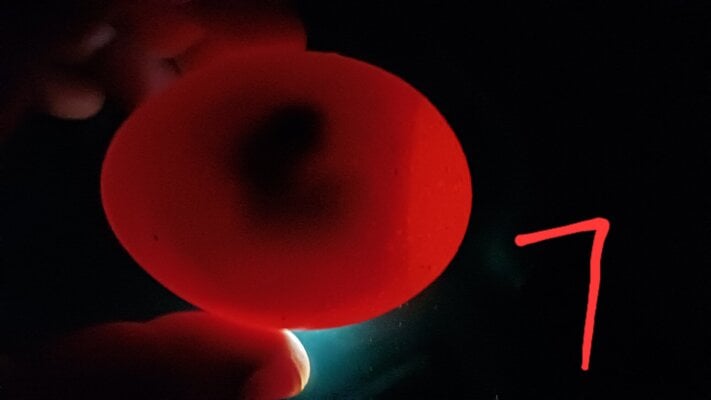 20250626_143833.jpg