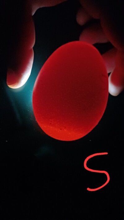 20250626_144137.jpg