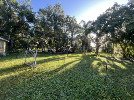 yard fenced off with gate access.jpg