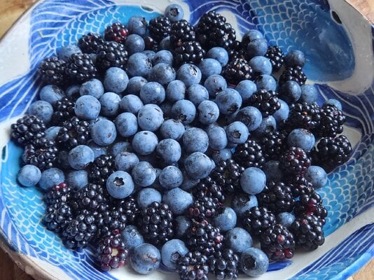 2023_fair_harvest_3b.jpg