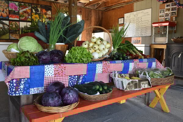 2024_fair_harvest_2.JPG