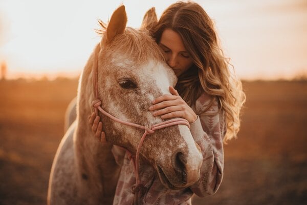 2023_fair_equine_4.jpg