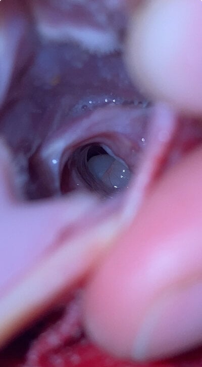 IMG_1963.jpeg