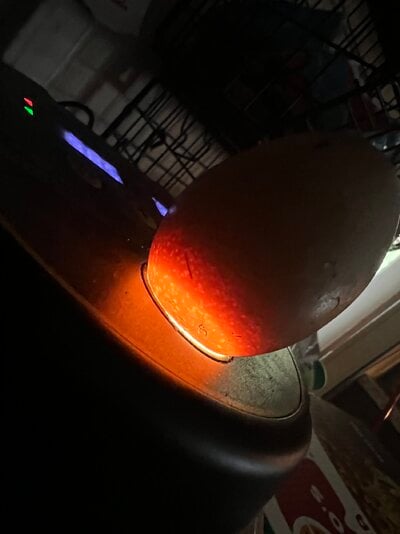 IMG_9003.jpeg