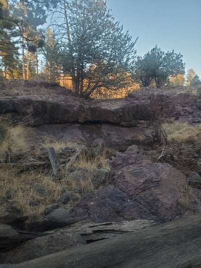 20250310_181132.jpg