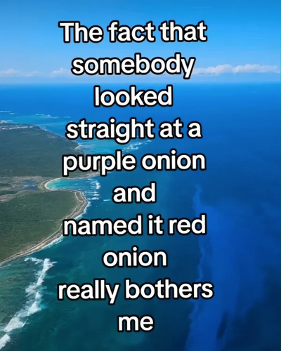1751361270539.png