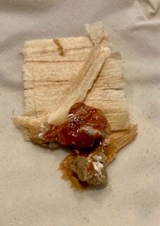 suspect poo July 2 the other 85% normal.jpg
