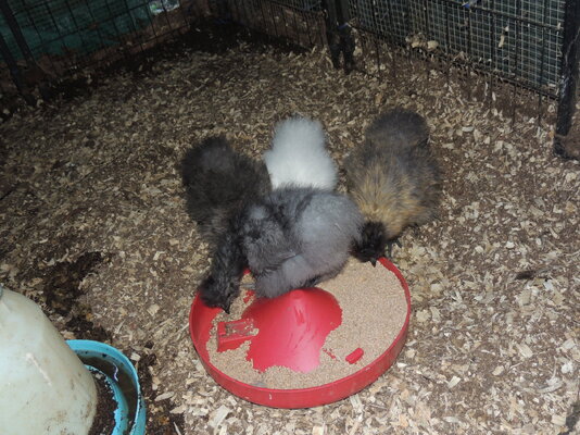 DSCN5028.JPG