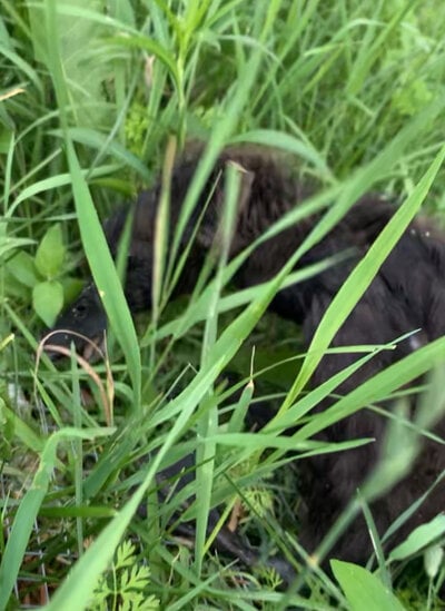 IMG_2655.jpeg