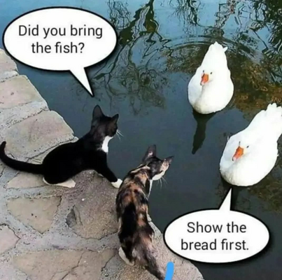 1751527480724.png