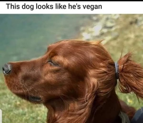 1751527585120.png