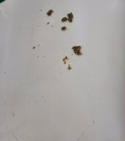 20250702_213512.jpg