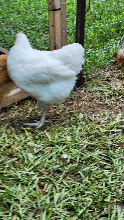 20250707_112750.jpg