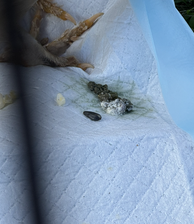 Screenshot 2025-07-07 at 9.40.36 PM.png