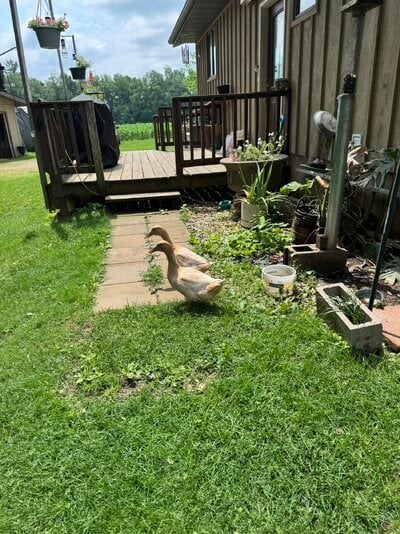 IMG_2626.JPEG IMG_2626.JPEG