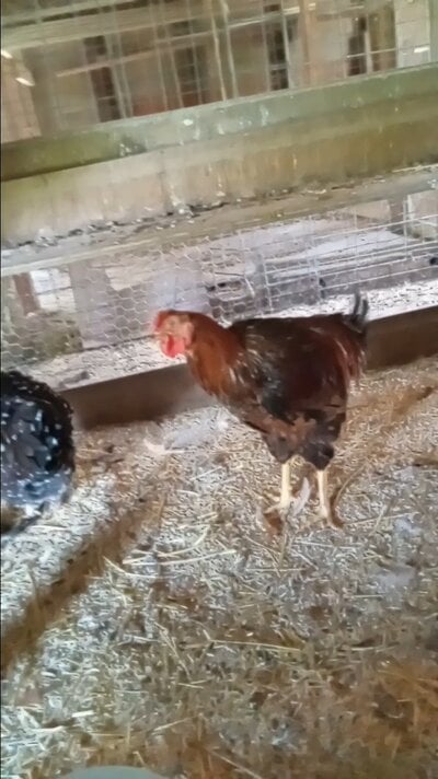 VideoCapture_20250704-151955.jpg