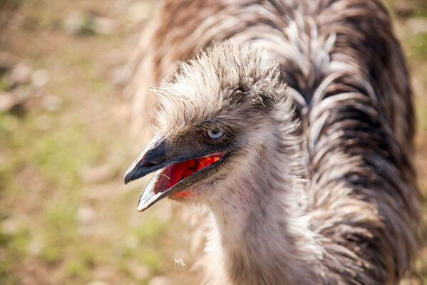 DSC_7870-2.jpg