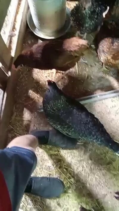 VideoCapture_20250712-145133.jpg