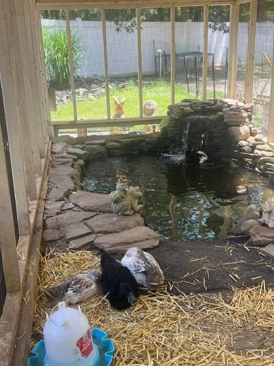 IMG_9763.jpeg