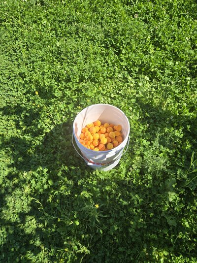 20250712_102031.jpg