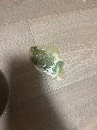 IMG_5306.jpeg