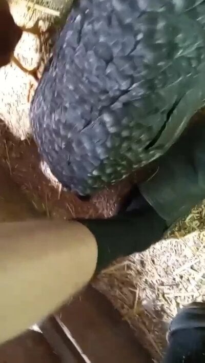 VideoCapture_20250712-145142.jpg