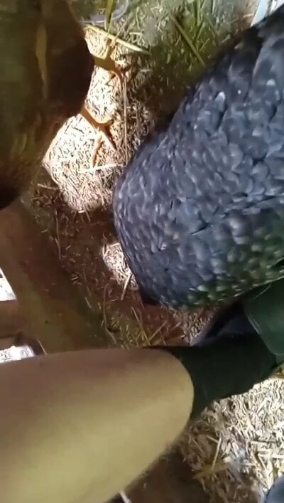 VideoCapture_20250712-145144.jpg