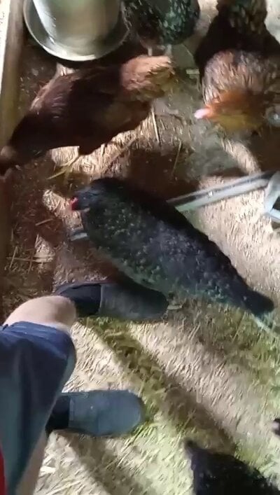 VideoCapture_20250712-145134.jpg