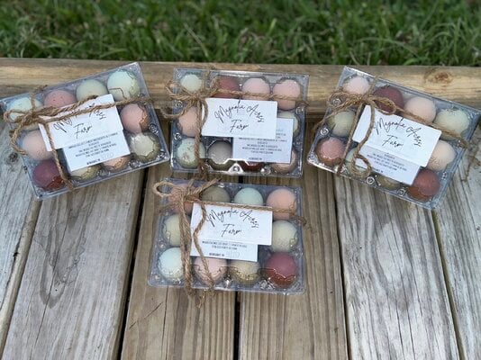 egg cartons.jpg