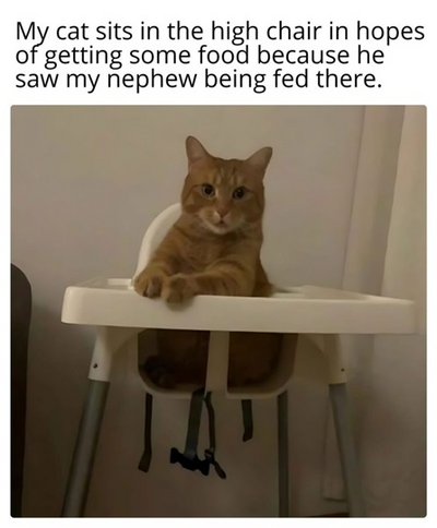 1752751178776.png