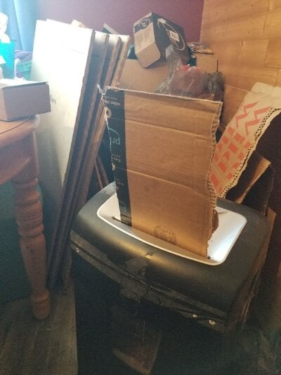 20220902_102953.jpg