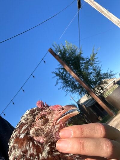 IMG_7698.jpeg