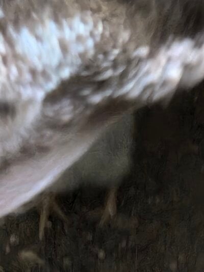 20250718_192739.jpg