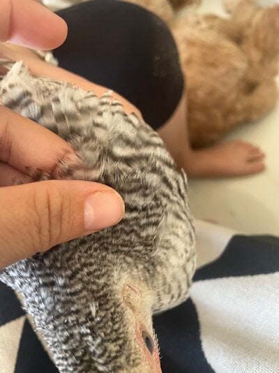 IMG_0881.jpeg
