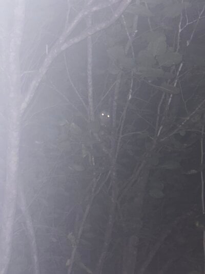 IMG_6059.jpeg