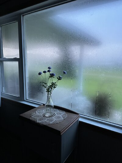 IMG_4343.jpeg