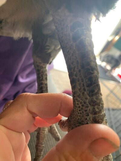 IMG_1015.jpeg